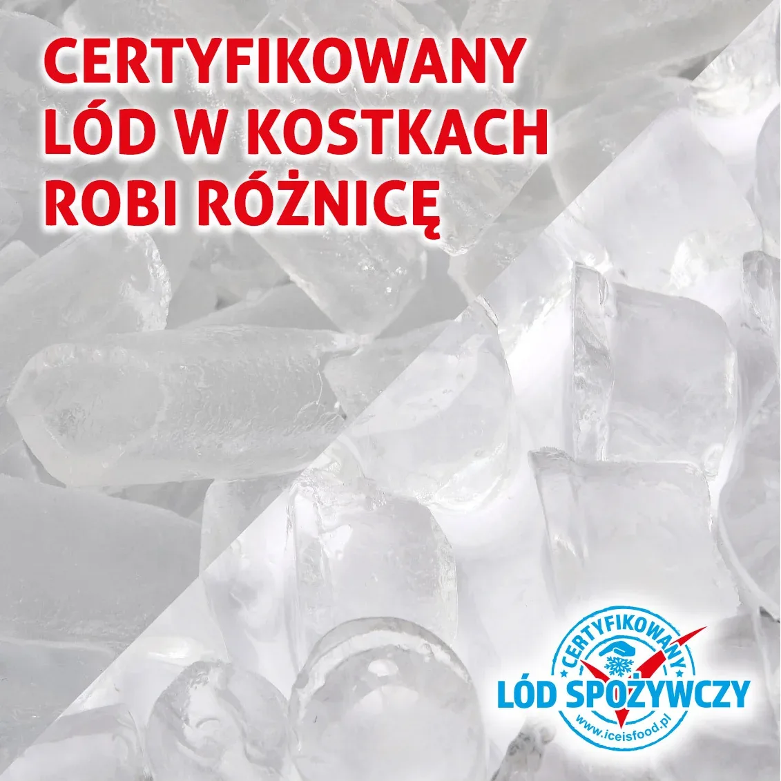 Packaged ice cubes